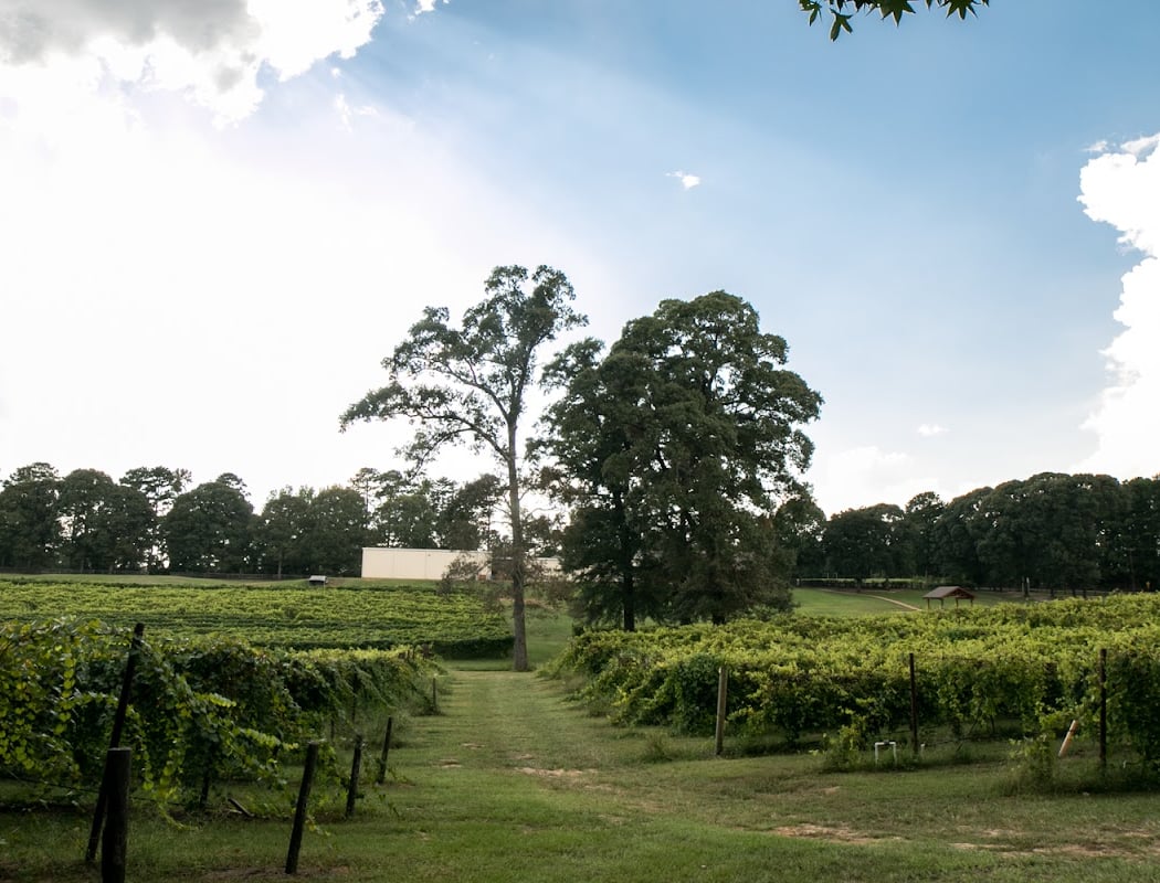 Winery & Vineyard Tour and Wine Tasting 1